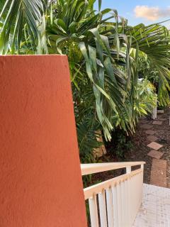 Studio charmant au cœur de Fort-de-France, 22 m², vue sur le jardin - 1