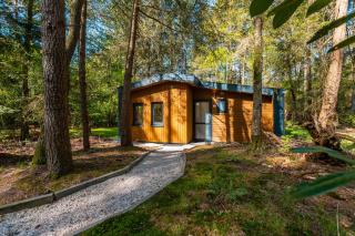Vakantiepark De Wiltzangh - 1