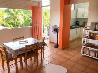 Appartement charmant à Sainte-Anne - 45 m² avec vue sur le jardin - 8