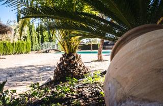 Charming house in Estepa, mountain view - 5