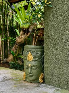 The Lodge Canggu - 3
