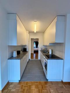 Basic Apartment in Witikon district - 2