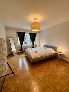 Basic Apartment in Witikon district - 5