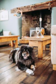 The Kinmel Arms - 7