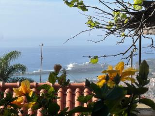 Casa das Flores Garden - 2