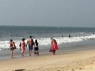 Luxury Casa viva Goa near beach - 4