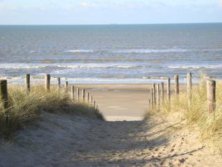 B&B Mol - Katwijk aan Zee - 2