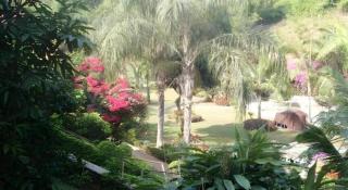 Buakum Resort - 5