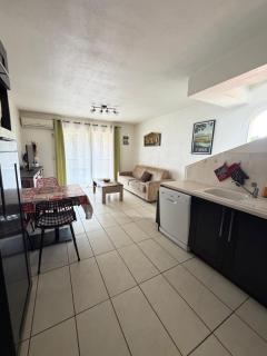 Magnifique T3 Duplex - Sierra Nevada 260 - 9