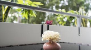 Chaozhou Sunshine Boutique Hotel - 8