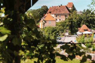 "Das Steirerhaus am Seggauberg" - Ferienhaus mit zwei separaten Apartments - 6