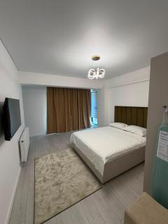 Astoria Luxury Apartment Mamaia Sat - 3