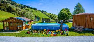 Bergbauernhof Kinderparadies Oberhasenberghof - 9