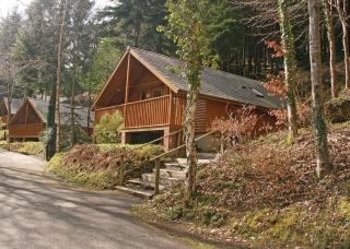 Cheddar Woods Resort And Spa - 1