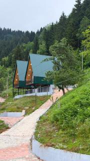 Panorama Cottages Tbeti - 8