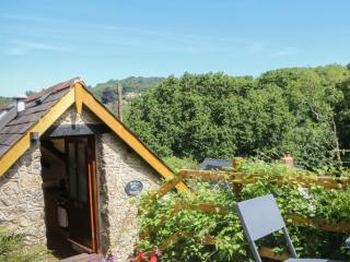 Lustleigh Mill Barn - 9