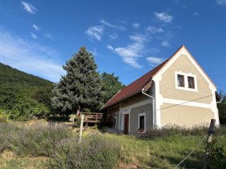 Csillagtenger- Balaton home with a view - 8