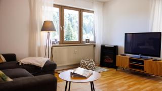 Ferienwohnung Panoramablick - super für deine Familie und die besten Aussicht in ganz Todtmoos - 3