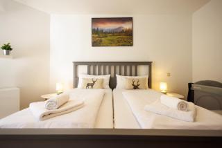 Ferienwohnung Panoramablick - super für deine Familie und die besten Aussicht in ganz Todtmoos - 8