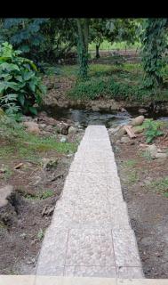 Villa pocorita - 4
