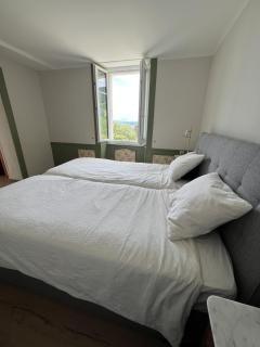 Charming Garden Apartment with Lake Views in Glion - 5