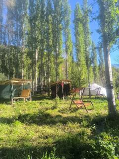Toluk yurt camp - 9