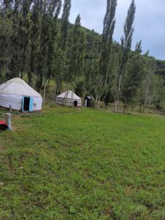 Toluk yurt camp - 7