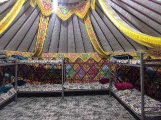Toluk yurt camp - 4