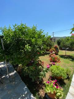 Vila Mare Mateo - 6