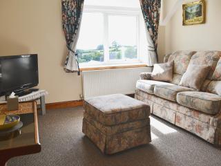 Fron Erch Cottages - 2711 - 9