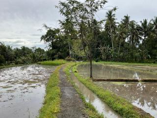Bendul Retreat - 6