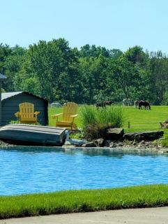 Private Apartment on Scenic Horse Farm - 1