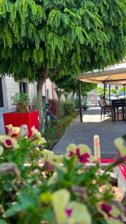 Plaza Viktoria Hotel Yerevan - 8