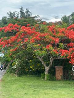 Orchid Homestay - 7