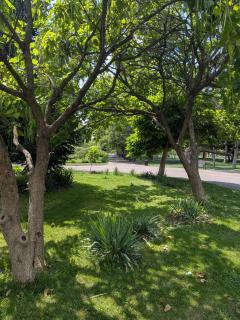 Cosy Parkside Close To The Metro Station - Bucarest - 4