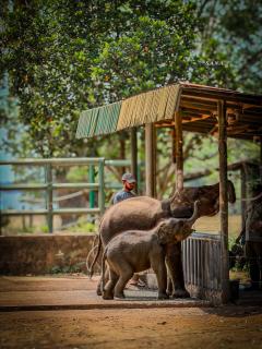Freedom Safari Lodge - 5