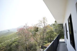 Vagamon leafhill mountain view holidays - 5