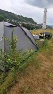 Naturcamping Igluzelt mit Hund im Privatgarten - 1