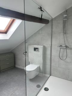 Chambre spacieuse avec salle de bain privative - 1