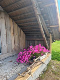 Grandma's Attic - 9