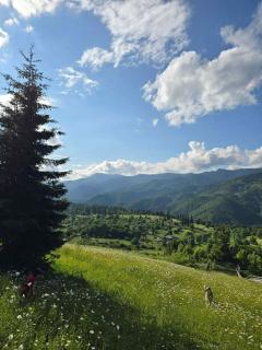 House in Little Mitarbi - 1