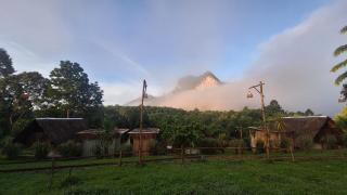 ขุนเขาฟาร์มสเตย์ KhunKhao Mountain Farmstay - 3