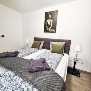 Róth Apartment 305 - 6
