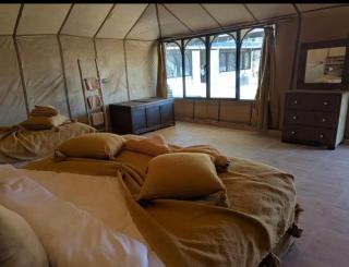 Merzouga Star Luxury camp - 4