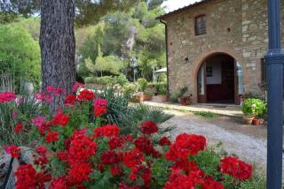 Agriturismo Il Poderino - Bibbona - 4