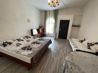 Borjomi Central apartments - 2