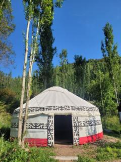Toluk Yurt Camp - 0