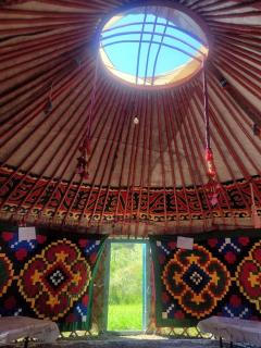 Toluk Yurt Camp - 8