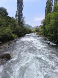 Toluk Yurt Camp - 3