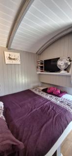 Pen-Rhos luxury glamping "Cuckoo's Nest" - Llandrindod Wells - 8